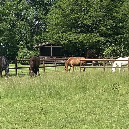 Casa de Férias Mit Terrasse Eschede