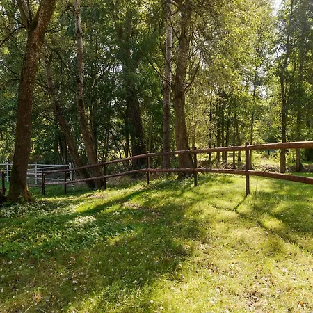 Charmantes Mit Terrasse In Der Suedheide