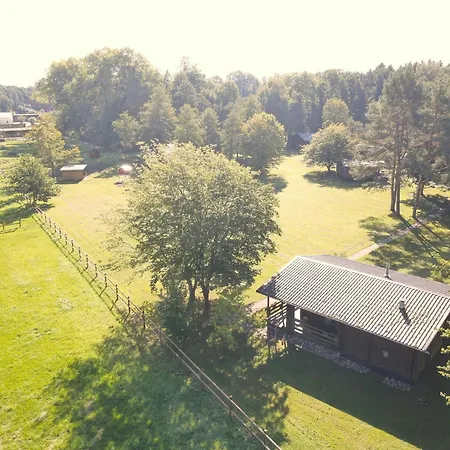 Dom wakacyjny Charmantes Mit Terrasse In Der Suedheide *