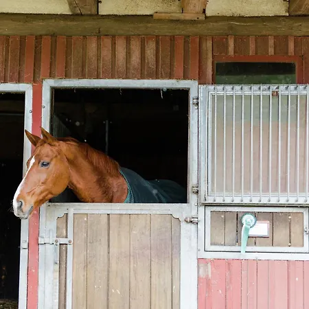 Mit Terrasse Casa de Férias *