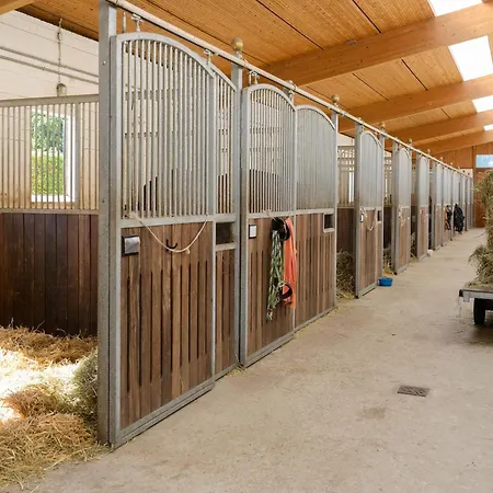 Mit Terrasse Casa de Férias Eschede