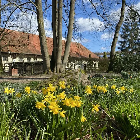 Charmantes Mit Terrasse In Der Suedheide Casa vacanze *