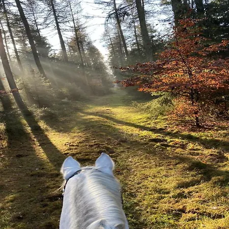 Mit Terrasse Casa de Férias