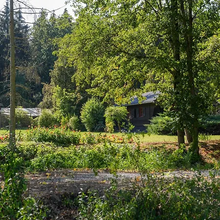 Charmantes Mit Terrasse In Der Suedheide