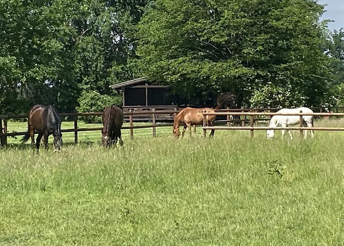 Semesterbostad Mit Terrasse Eschede
