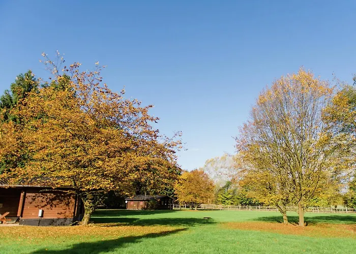 Mit Terrasse Semesterbostad Eschede