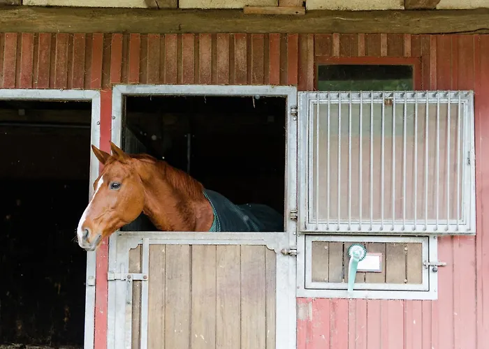 Mit Terrasse Semesterbostad *