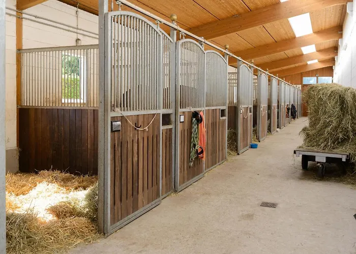 Mit Terrasse Semesterbostad Eschede