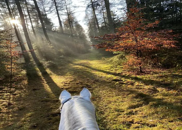 Mit Terrasse Semesterbostad