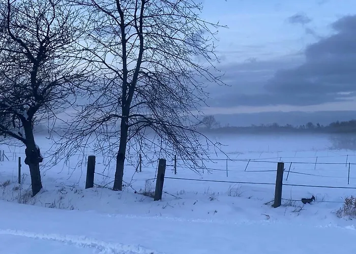 Semesterbostad Mit Terrasse *