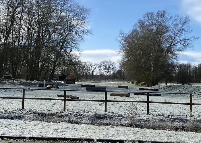 Mit Terrasse Semesterbostad Eschede